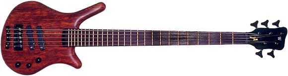 warwick thumb 5 string bass
